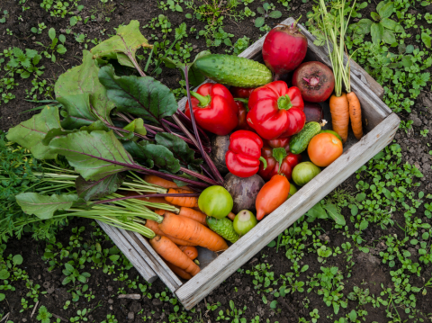 Vegetables in a wooden box