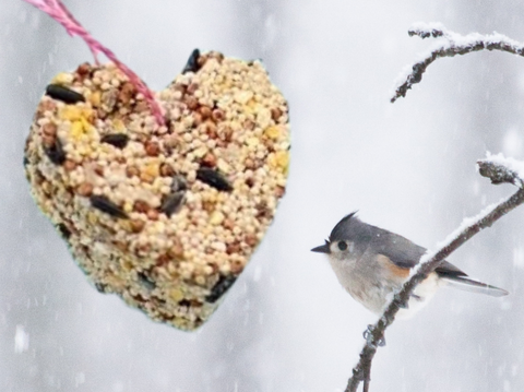 bird seed ornament