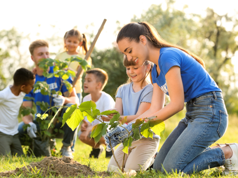 Families planting trees