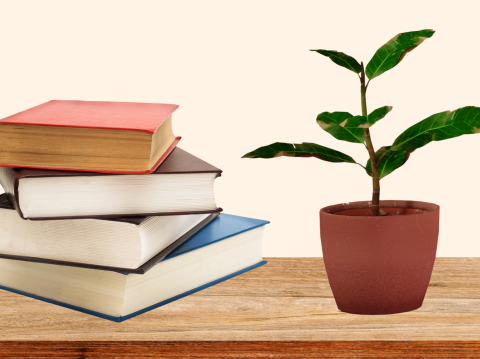 Books and a plant on a wooden desk